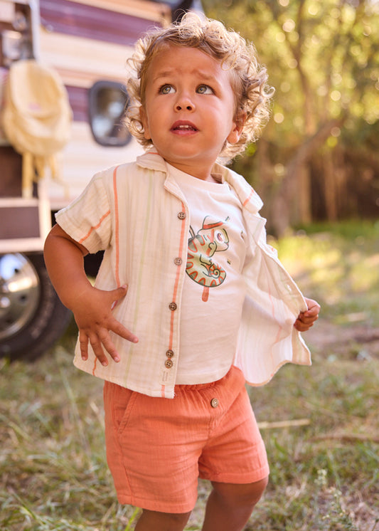 Bermuda bambula - Argila - Mayoral