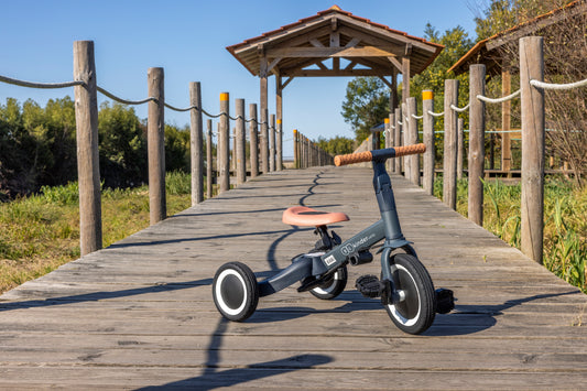 Gray multifunction tricycle - Kinderland