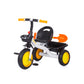 Triciclo Infantil Rover - CHIPOLINO