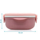 Lunch box with stainless steel tray 450ml