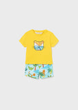 Sunshine newborn t-shirt and shorts set