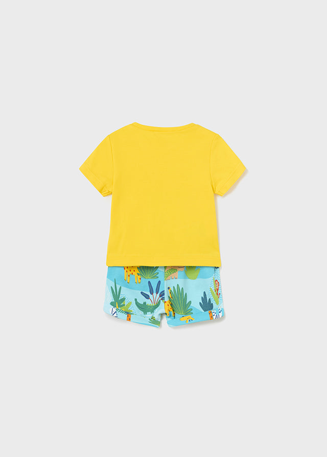 Sunshine newborn t-shirt and shorts set