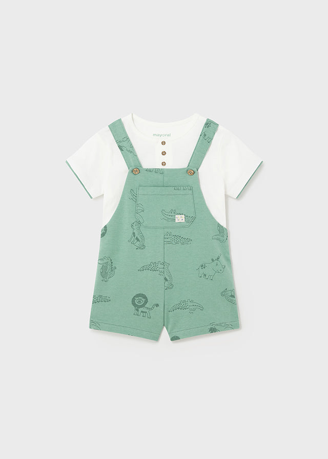 2-piece set of overalls and baby t-shirt Eucalyptus