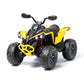 Electric quad bike for children Can Am Renegade 24V (PREMIUM)